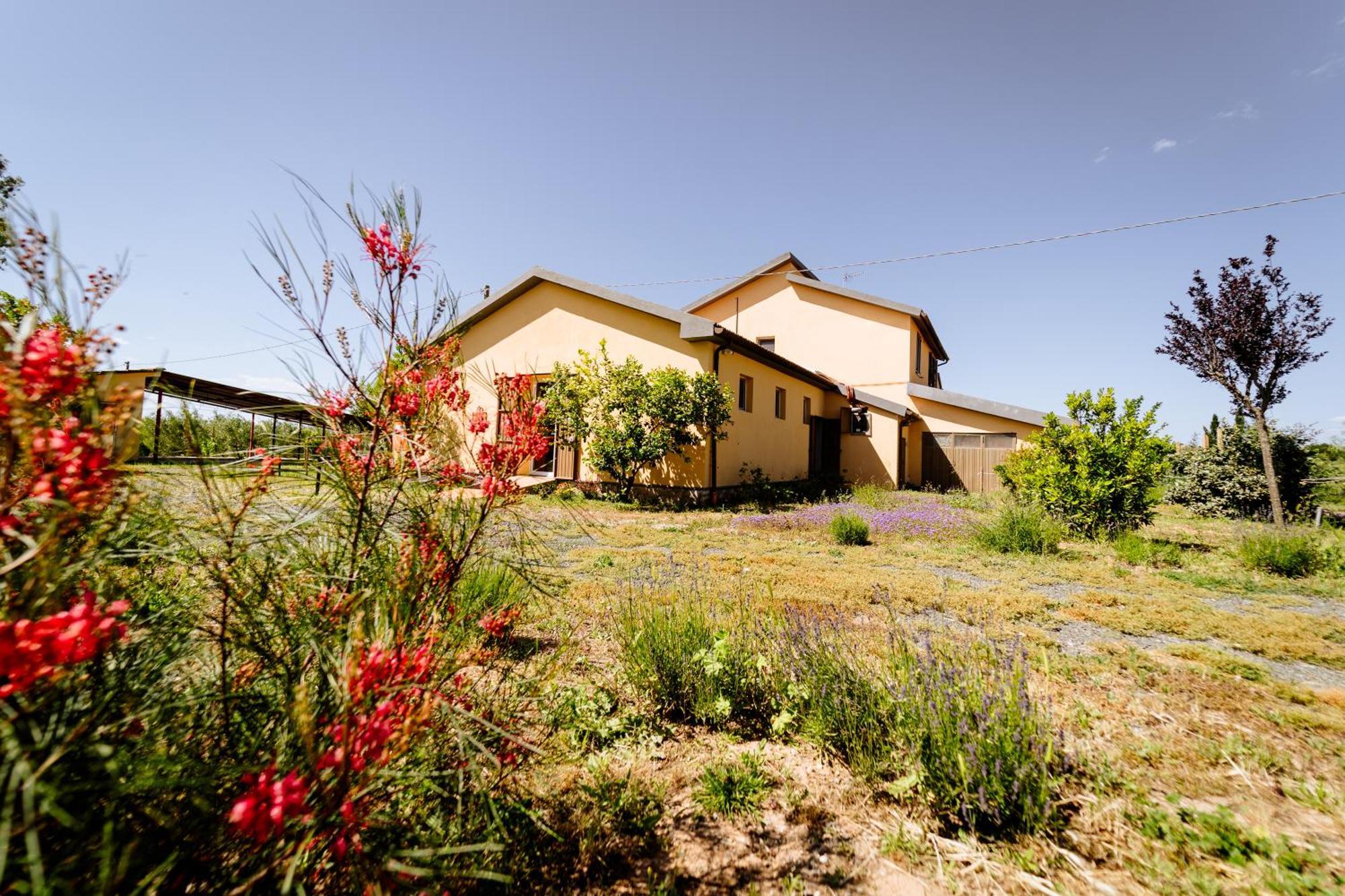 Agriturismo Bio Podere 109 - Wine&Food Alberese Exterior photo